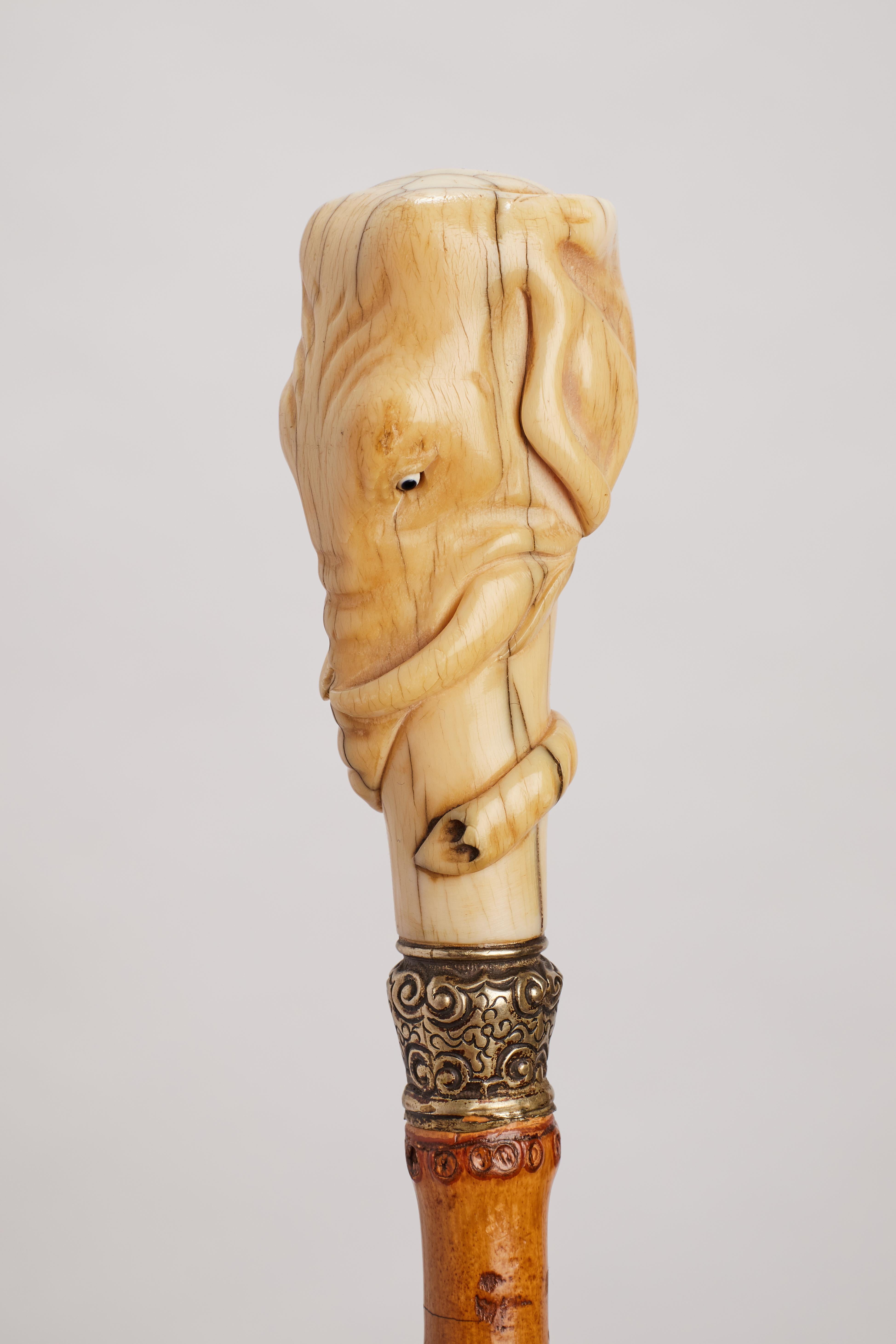 Elephant ivory head’s handle walking stick, UK 1880.  In Good Condition For Sale In Milan, IT