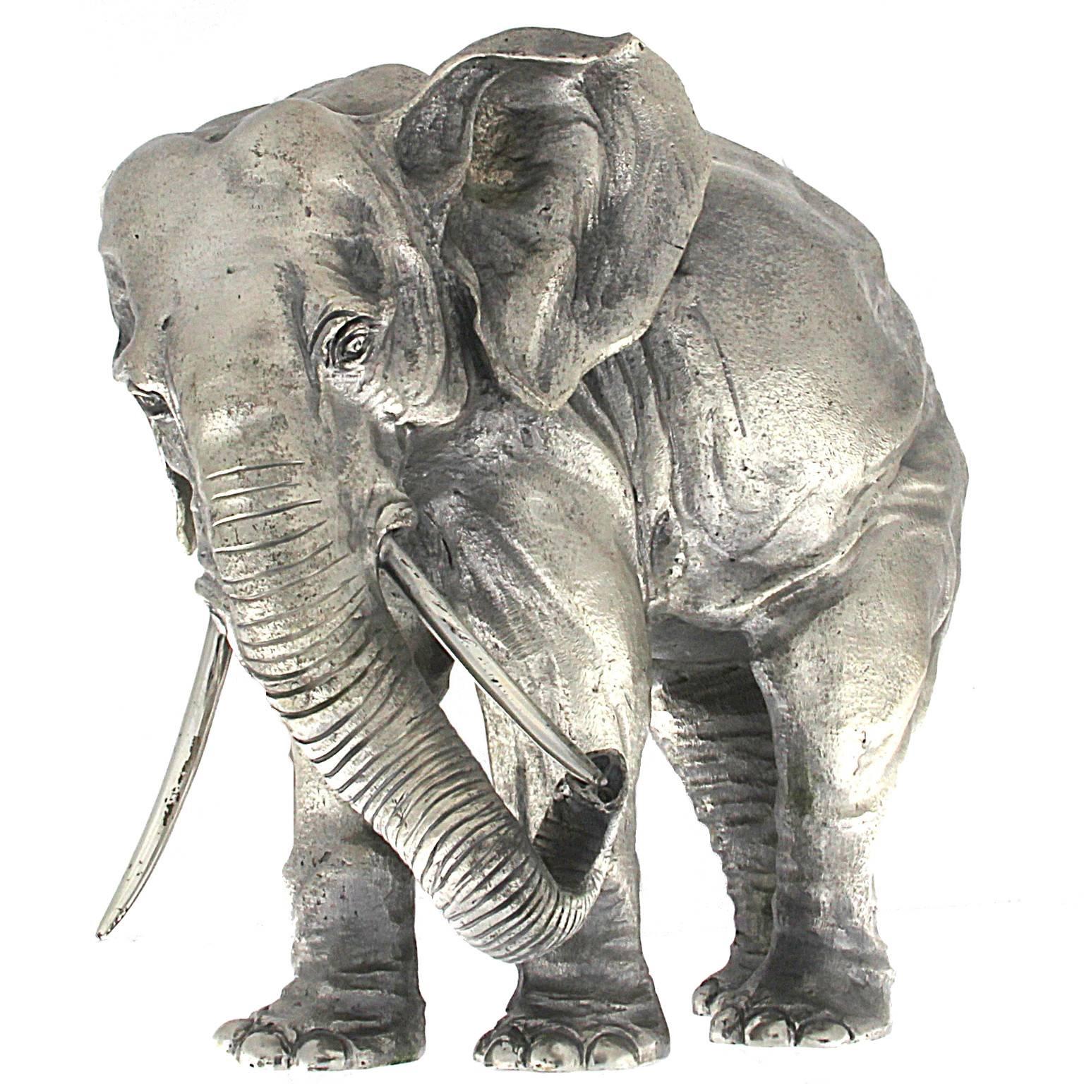 elephant lun