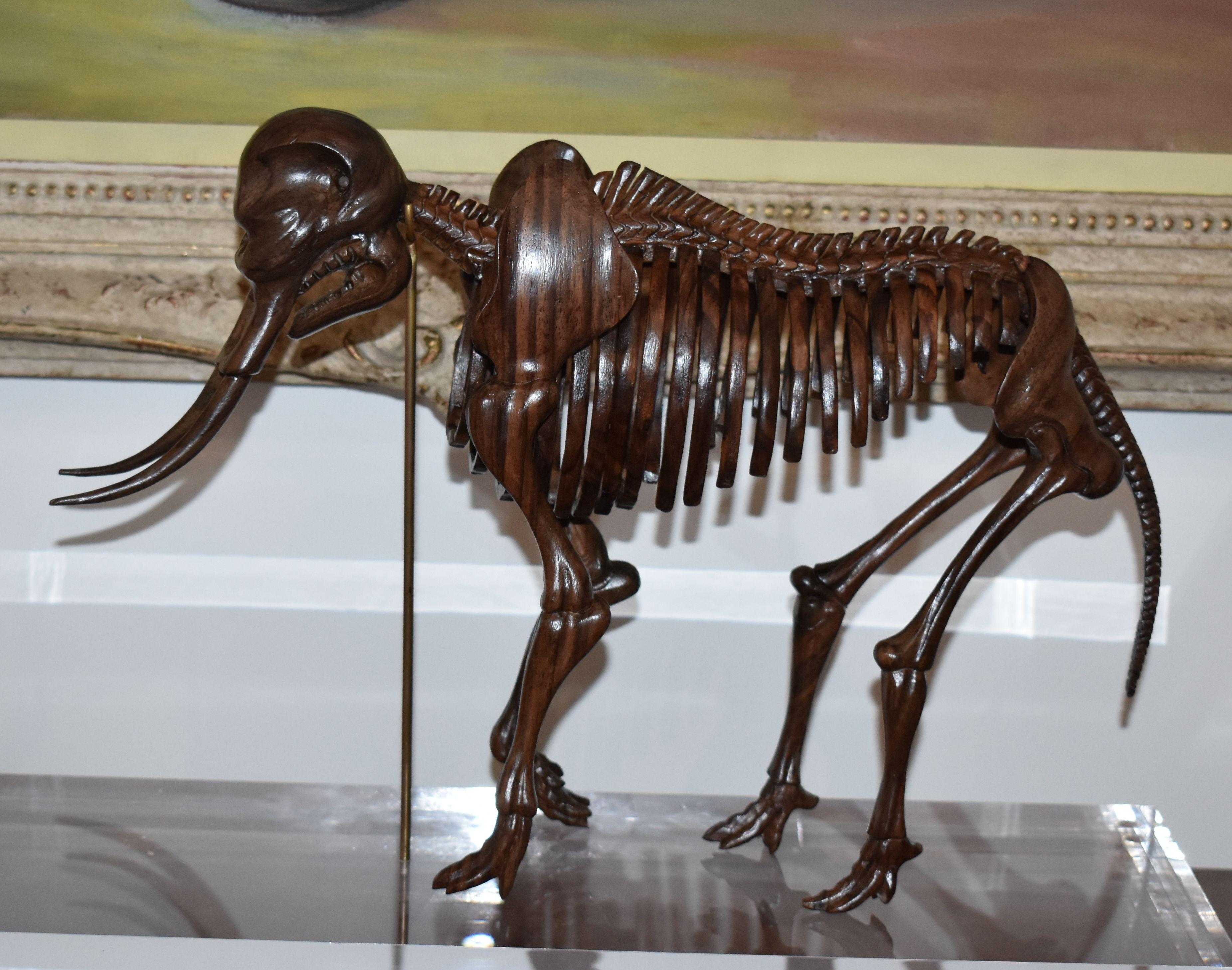 elefant skeleton