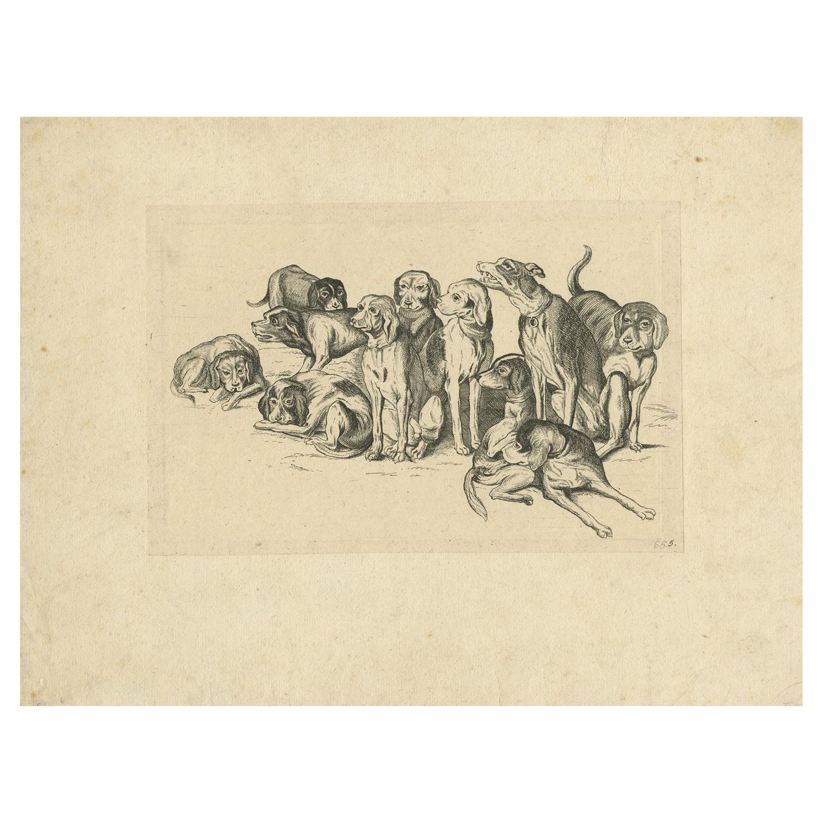 Eleven Hounds – Reversed 17th-Century Etching After Wenceslaus Hollar, c.1646 en vente