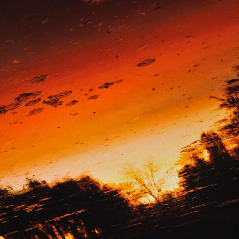 Nocturnes à Giverny par Elger Esser, Lac aux nénuphars au coucher du soleil, Art contemporain en vente 2