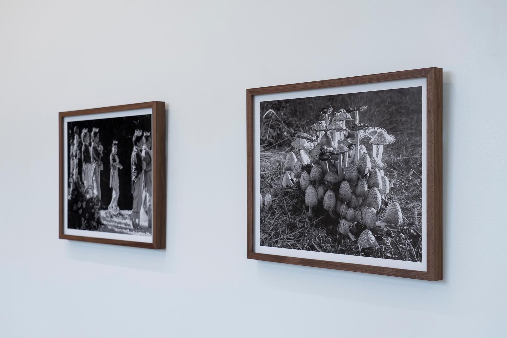 Mushrooms(1/4), Contemporary Black & White Photo, Framed Archival Pigment Print - Photograph by Eli Durst