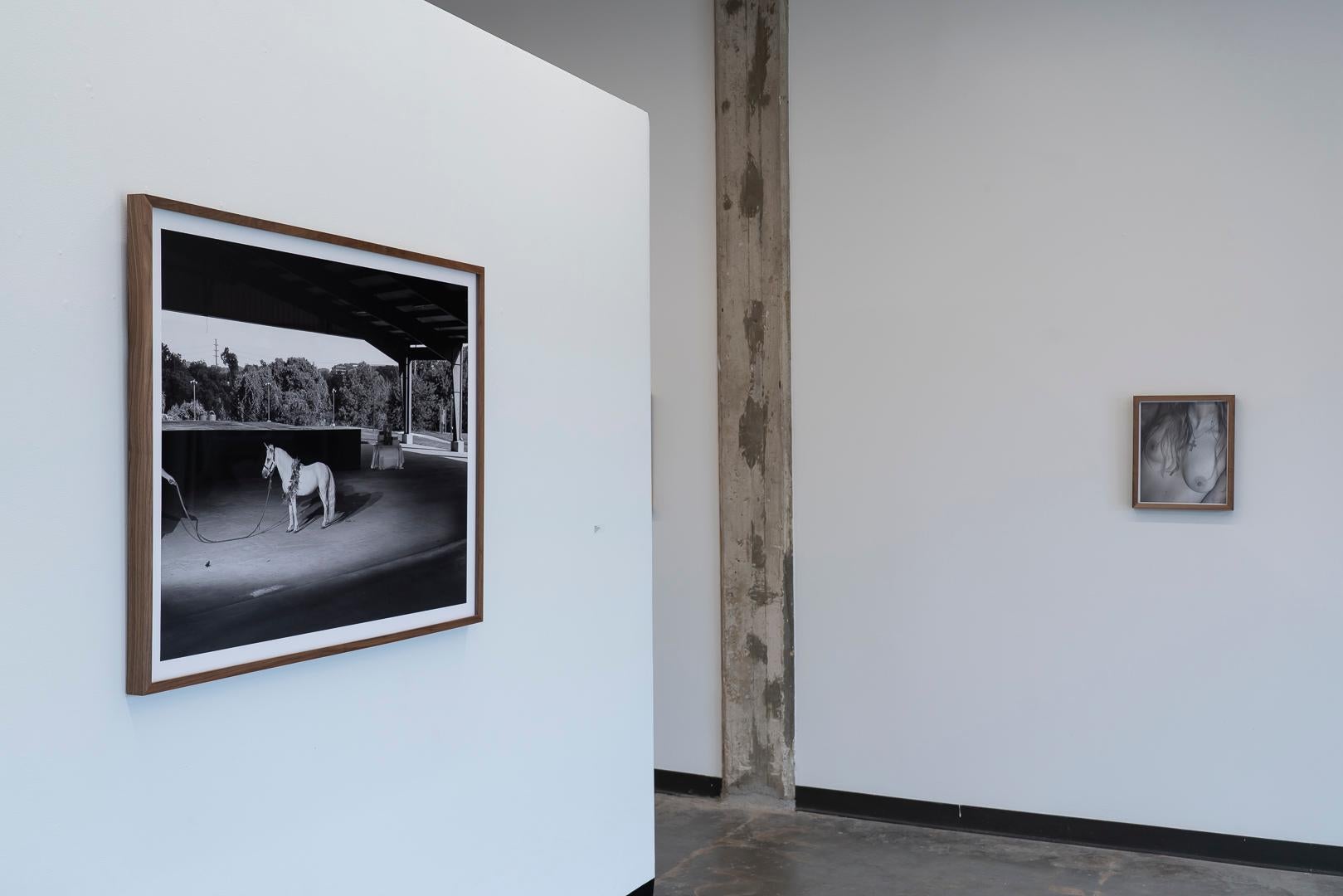 Unicorn(1/4), Contemporary Black & White Photo, Framed Archival Pigment Print - Photograph by Eli Durst