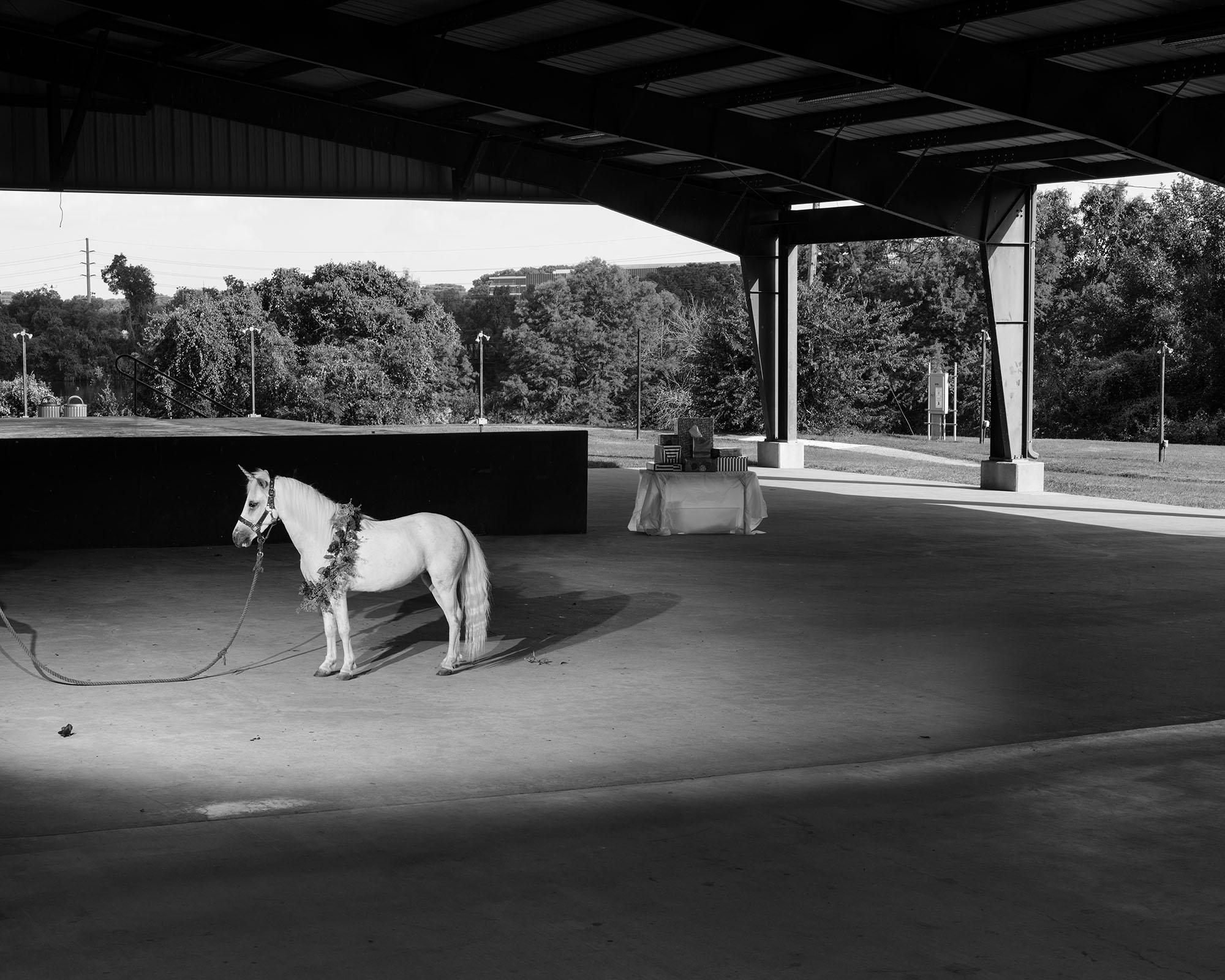 Eli Durst Still-Life Photograph - Unicorn(1/4), Contemporary Black & White Photo, Framed Archival Pigment Print