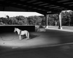 Unicorn(1/4), Contemporary Black & White Photo, Framed Archival Pigment Print