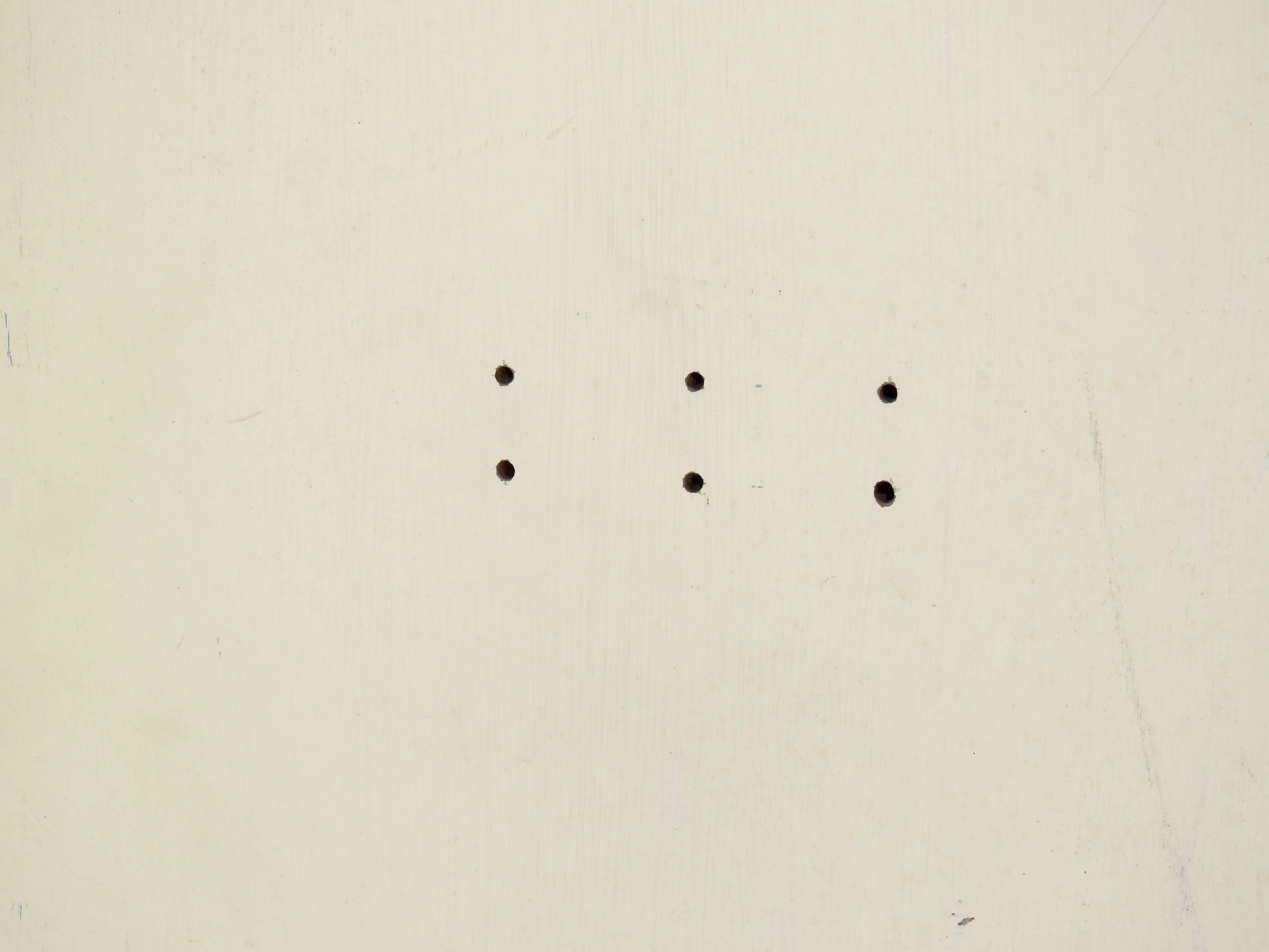 Eli Terry Clockmaker HandPainted Room Divider with Horse Scene at