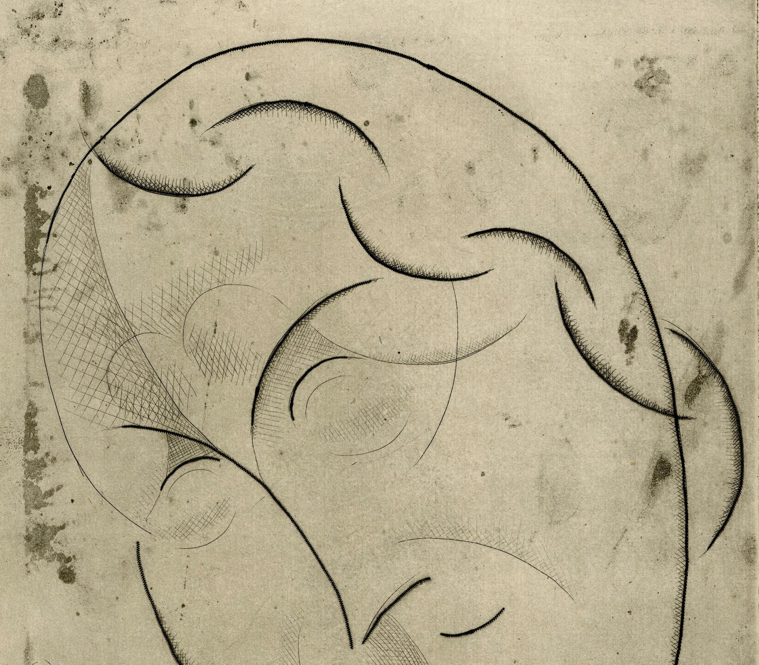 Kopf des Mädchens - Kopf der Frau  (Harvard) (Amerikanische Moderne), Print, von Elie Nadelman