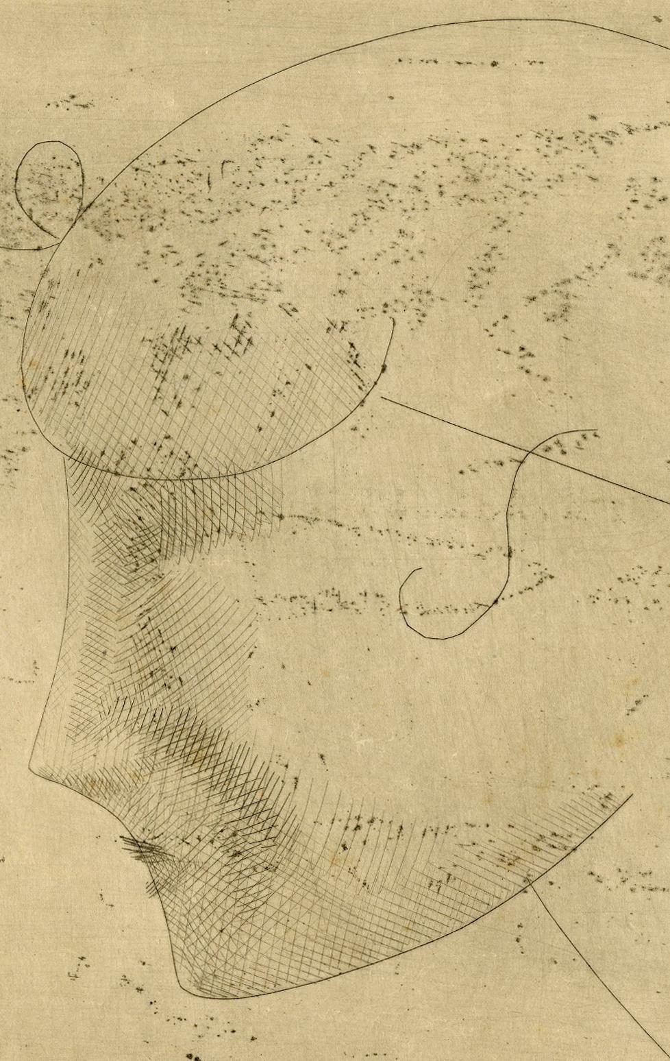 Woman's Head in Profile - Woman's Head in Profile (left) (Havard) - Print by Elie Nadelman