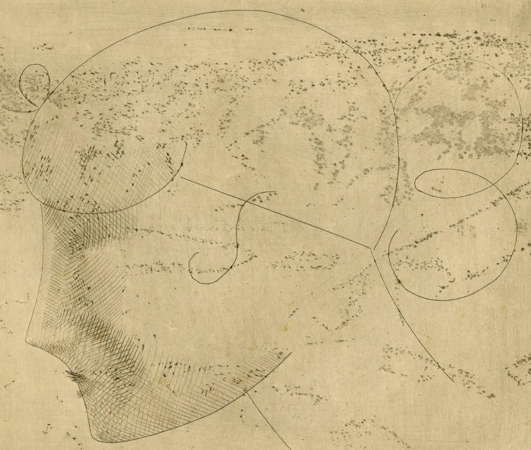 Woman's Head in Profile - Woman's Head in Profile (left) (Havard) - American Modern Print by Elie Nadelman