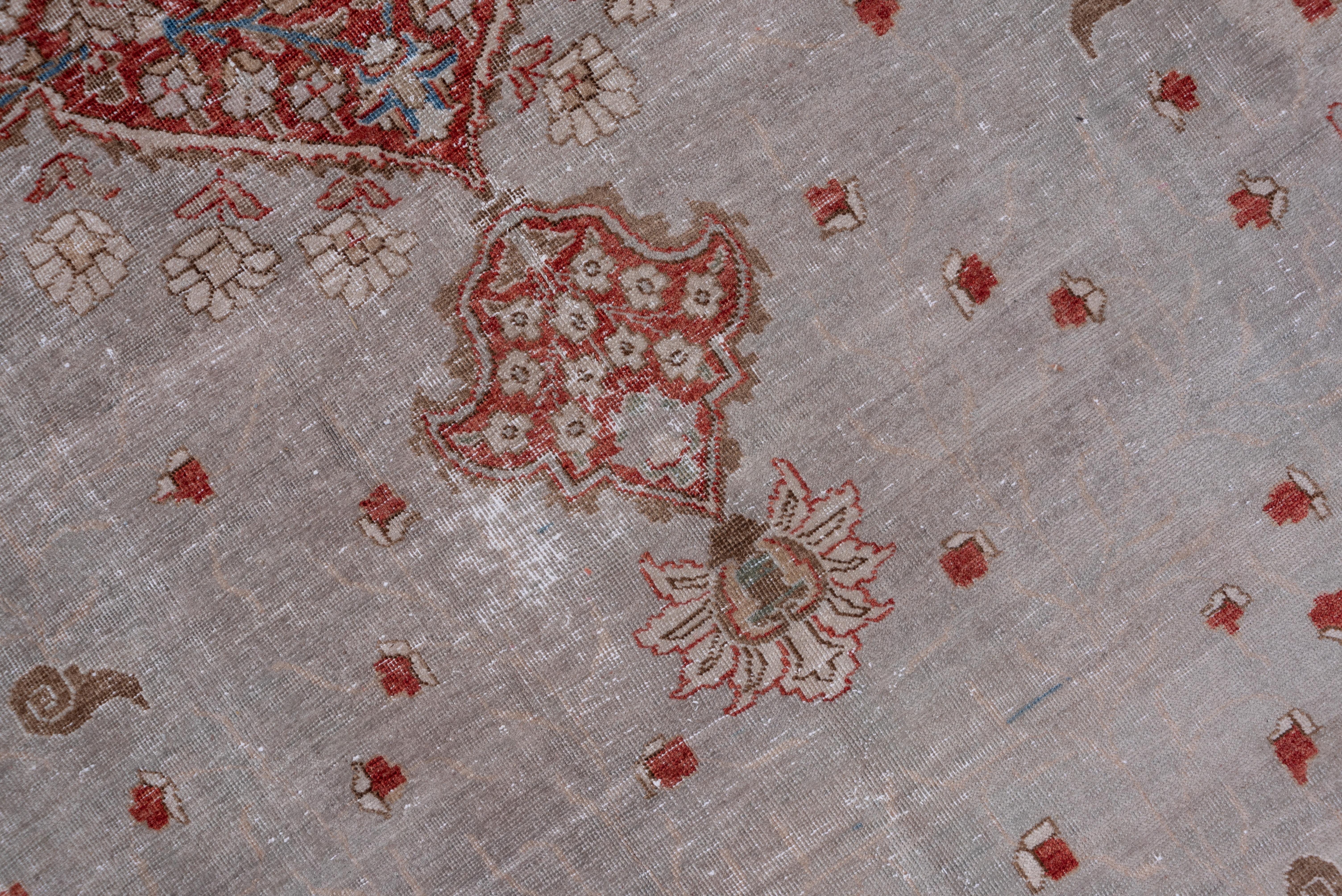 Eliko Rug by David Ariel Persian Tabriz Rug, Grey Subfield and Red Borders In Good Condition For Sale In New York, NY