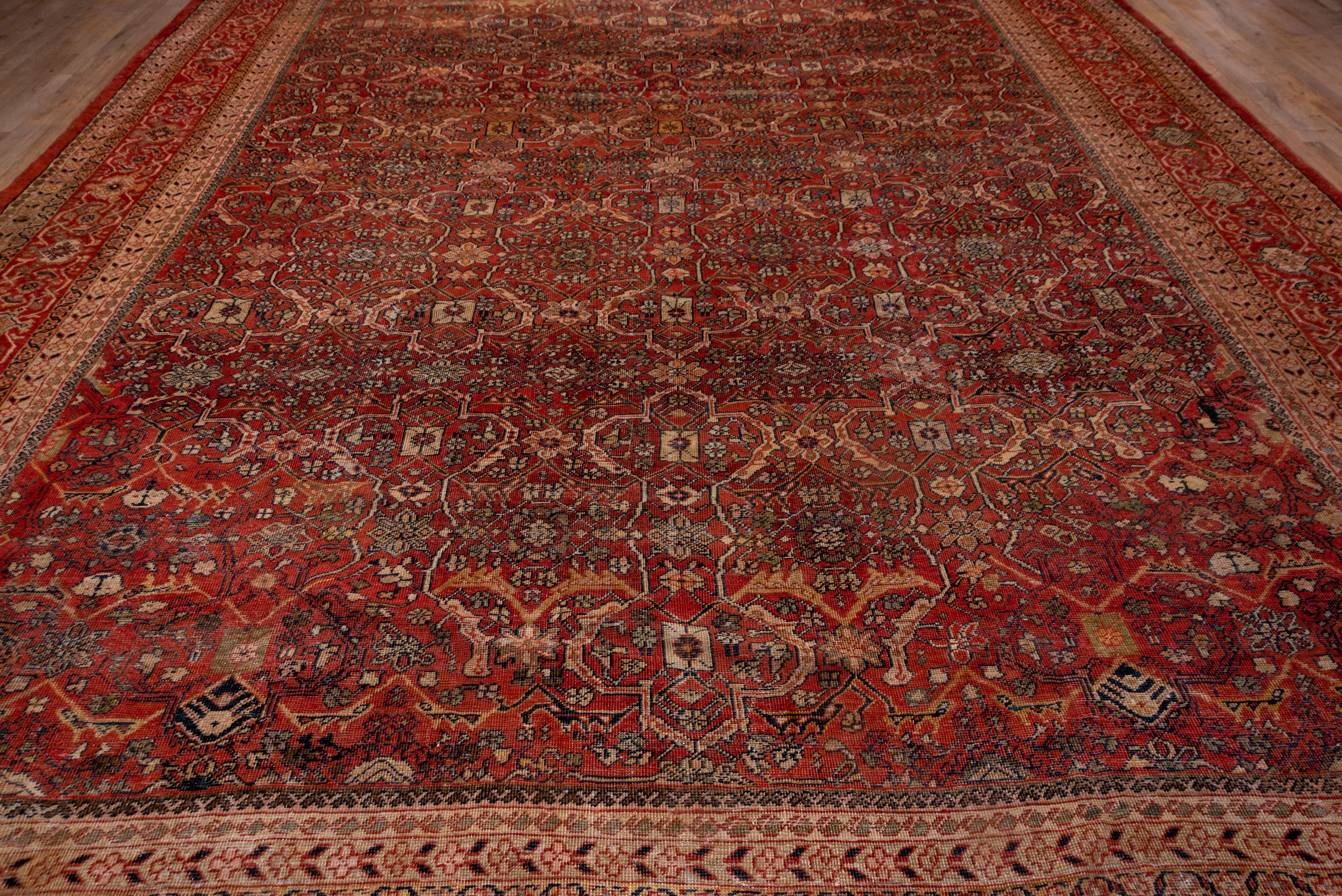 
Sultanabad rugsare a type of hand-knotted Persian rug originating from the city of Sultanabad (now known as Arak) in Iran. They are highly regarded for their quality and artistic beauty. Sultanabad rugs gained popularity during the late 19th and