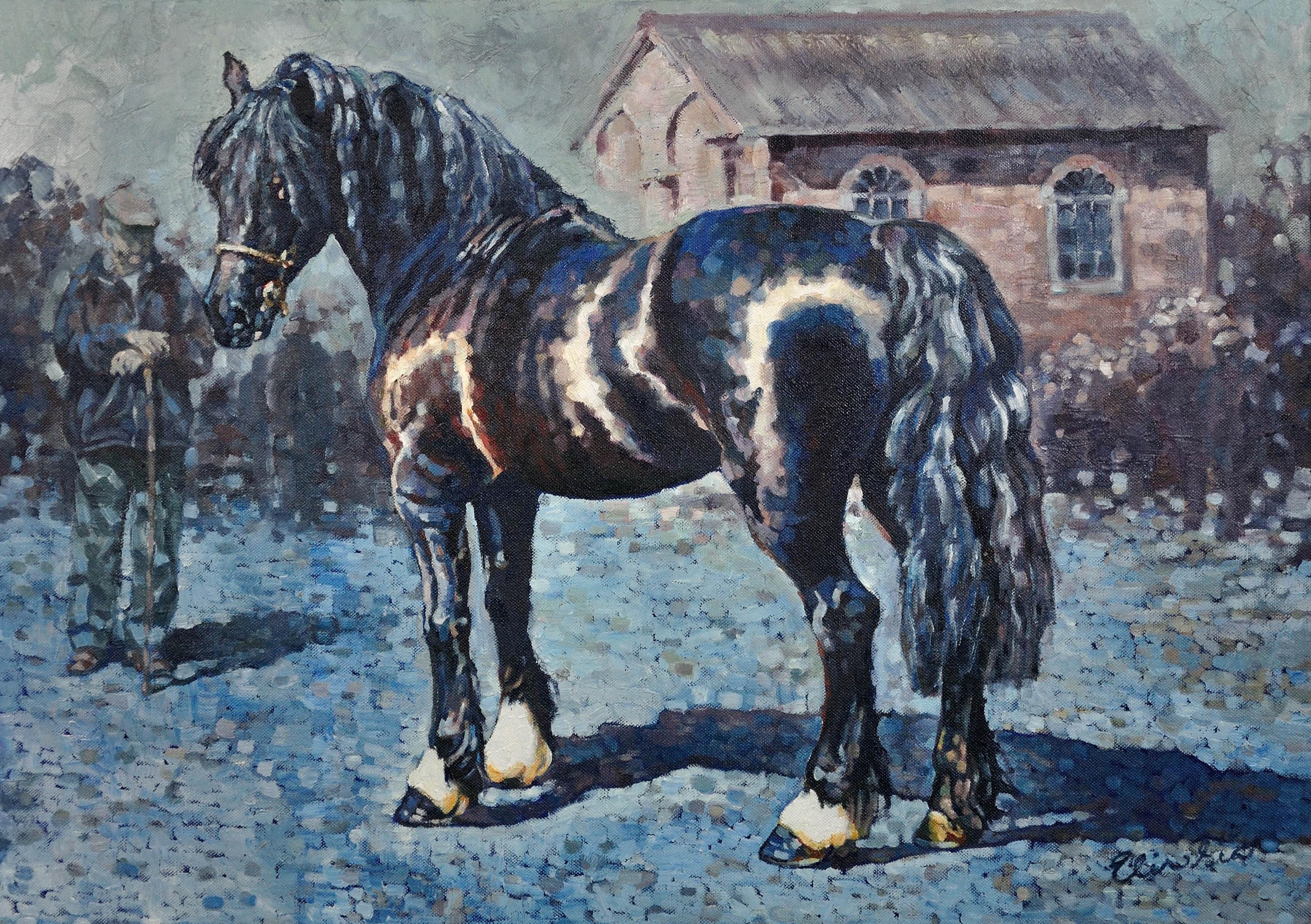 Fronarth Northern Star Welsh Cob Reitpferd Einheimische Rasse Ölgemälde – Painting von Elin Sian Blake
