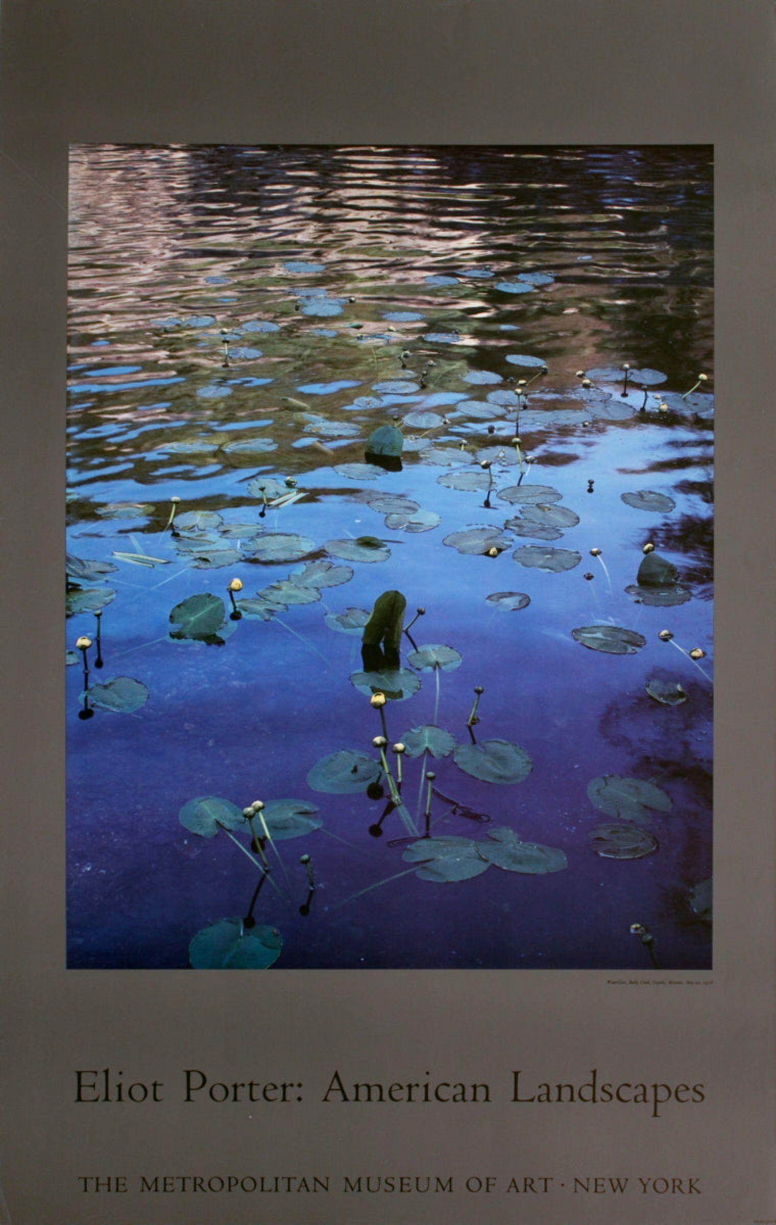 ELIOT PORTER Waterlilies, Rocky Creek, Ozarks, MO, 1985 - Print by Eliot Porter
