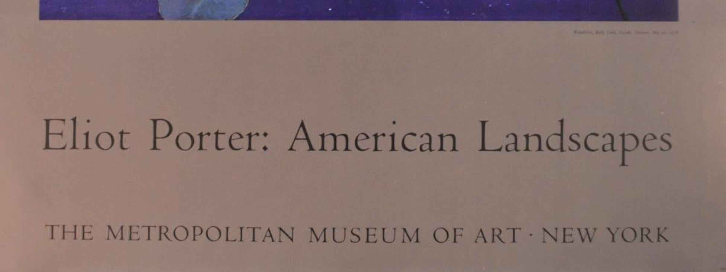 Poster-American Landscapes-Metropolitan Museum of Art, New York - Print by Eliot Porter