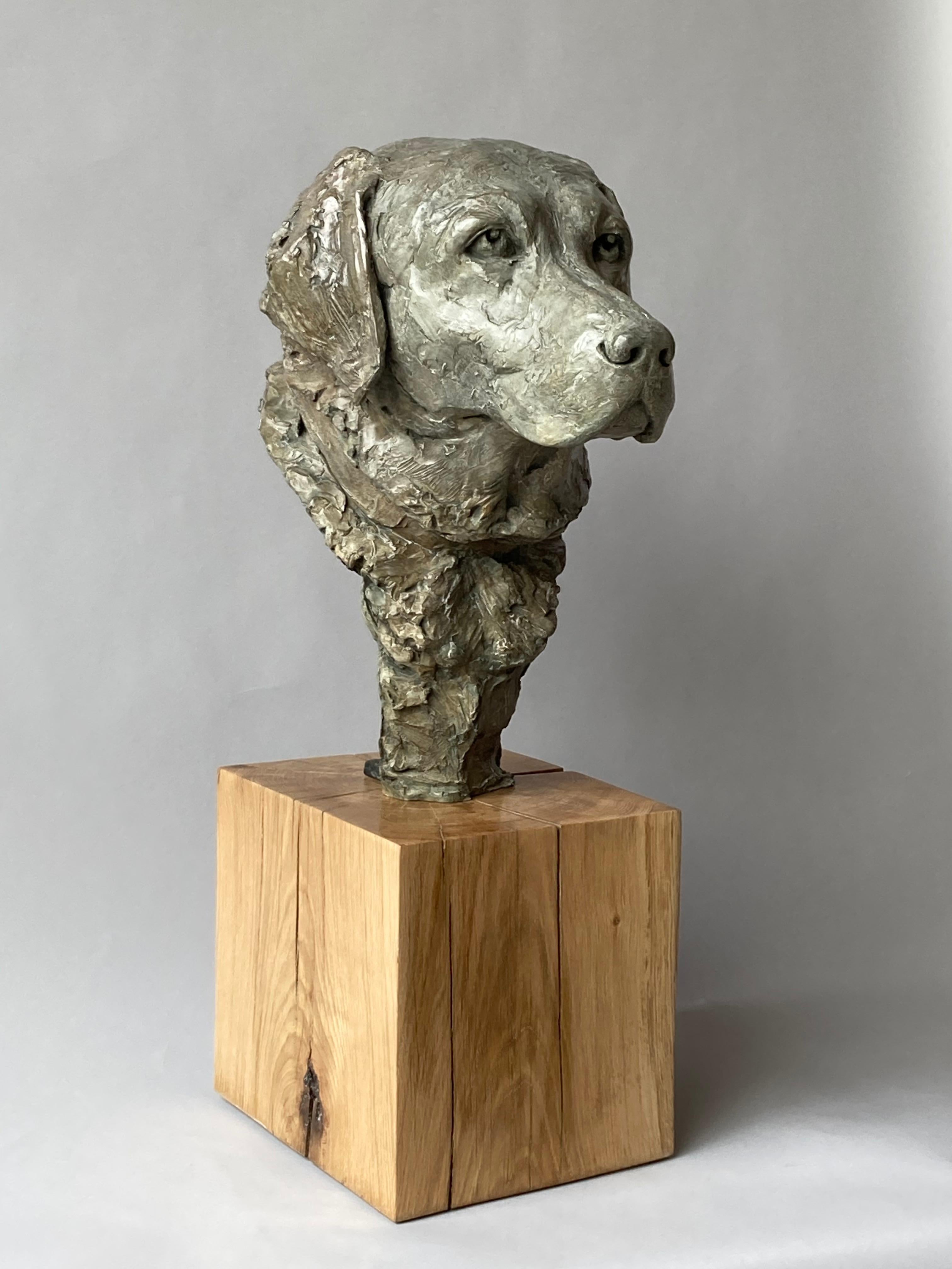 Elisabeth Cibot Figurative Sculpture - Derby Bronze 