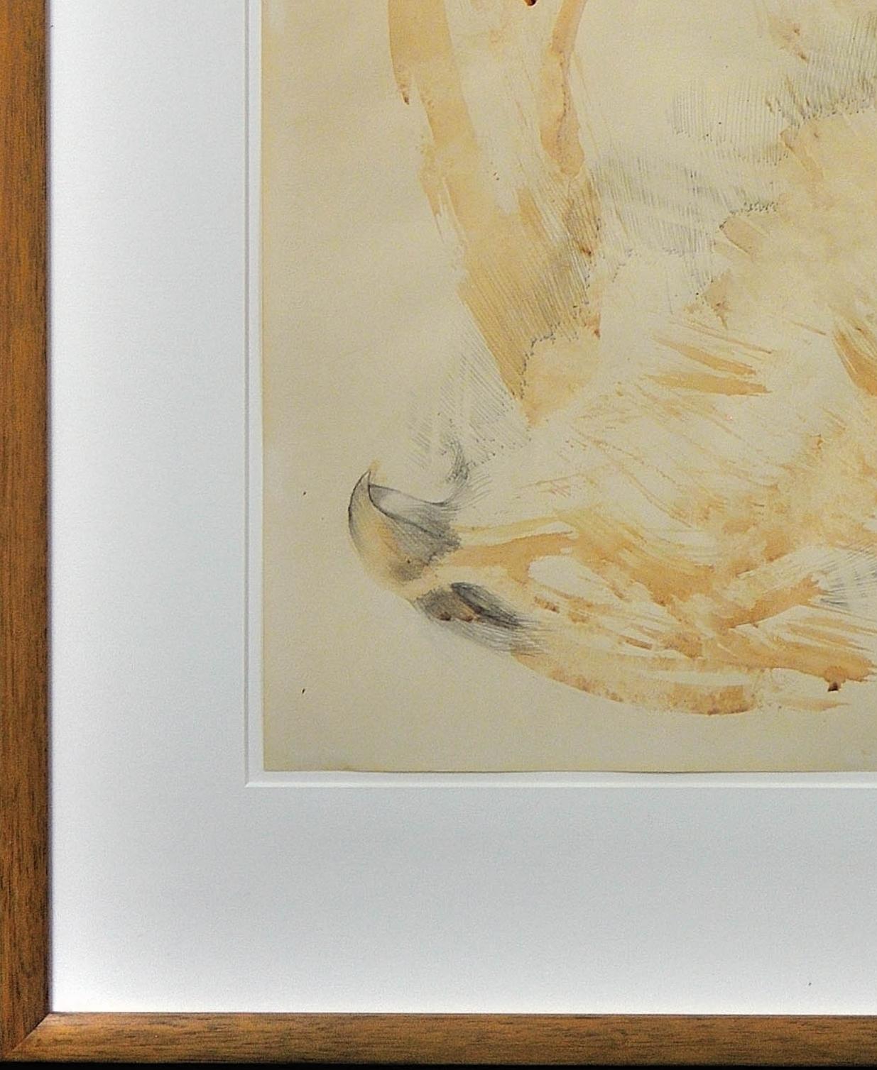 Dame Elisabeth Frink. Hawk, 1969. Watercolor. A Representation of Destruction. For Sale 18