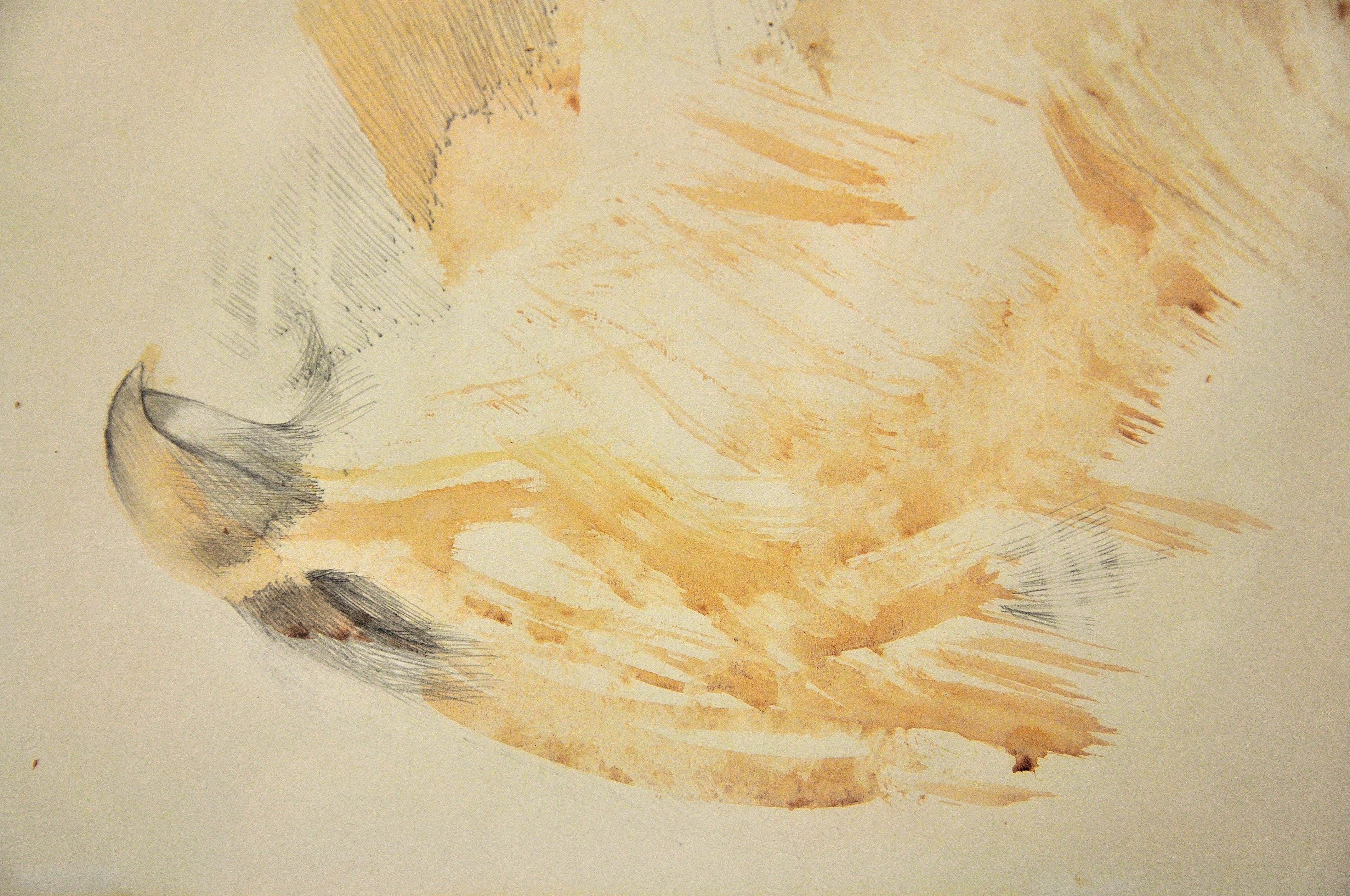 Dame Elisabeth Frink. Hawk, 1969. Watercolor. A Representation of Destruction. For Sale 2
