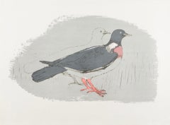 Wood Pigeon by Elisabeth Frink, 1967
