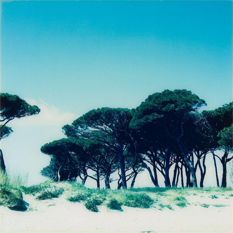 Elisabeth Montagnier Landscape Photograph - Landscape Beach photograph, mounted on aluminum.