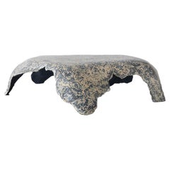 Elissa Lacoste Tavolino contemporaneo i Model Shagreen, acciaio e resina