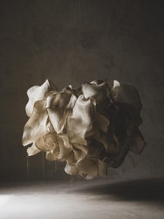 Große hängende organische Mar natürliche Raffia Textil-Skulptur Eliurpi 2026