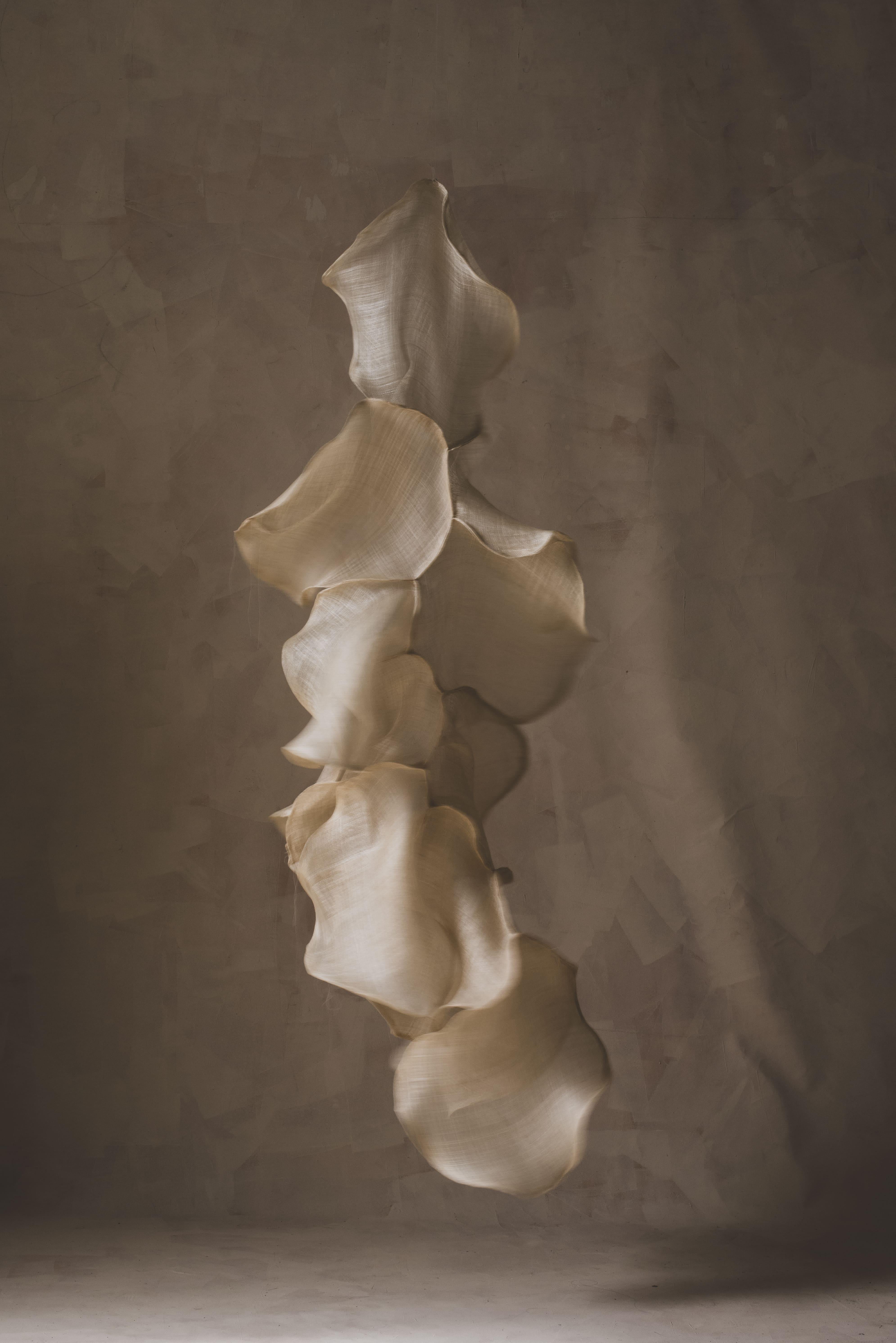 Mediterrània IV — Suspended Textile Sculpture in Natural Raffia by Eliurpi 2025 im Angebot 4