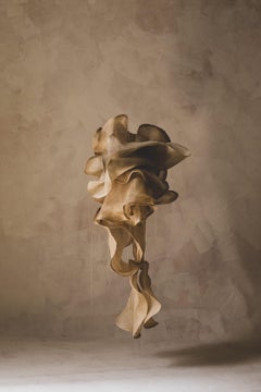 Abstract Sculptures
