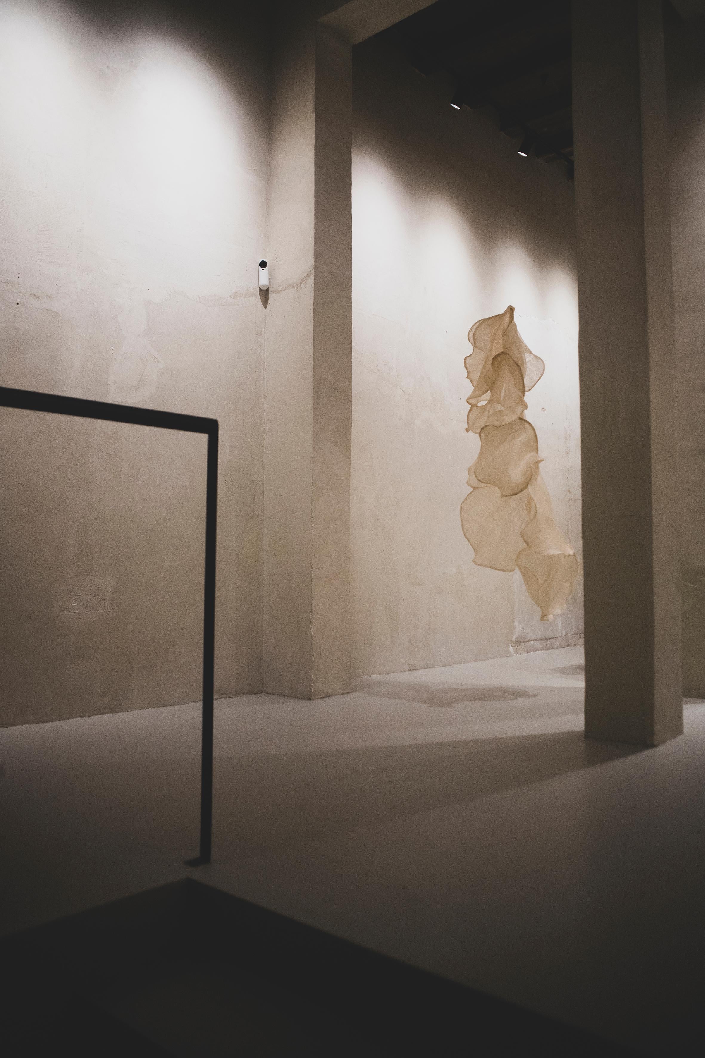 À la Collectors Gallery, nous nous engageons à maintenir les plus hauts standards de confiance et de professionnalisme pour nos collectionneurs. Chaque œuvre d'art de notre collection est accompagnée d'un certificat d'authenticité, garantissant son