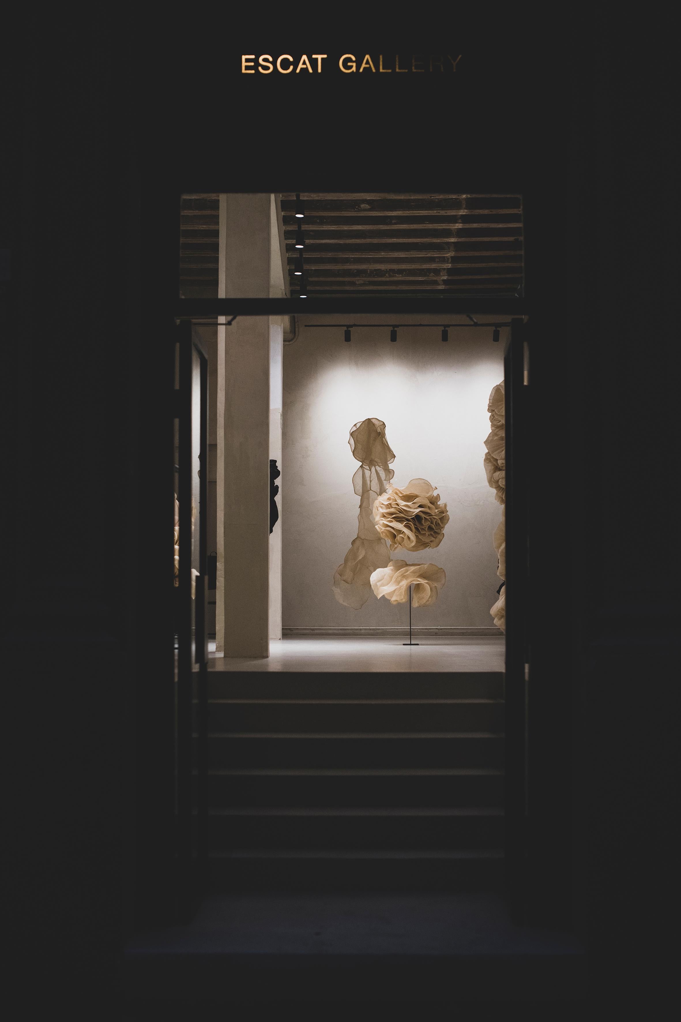 Suspended Organic Form IV — Natural Raffia Textile Sculpture by Eliurpi 2025 im Angebot 5