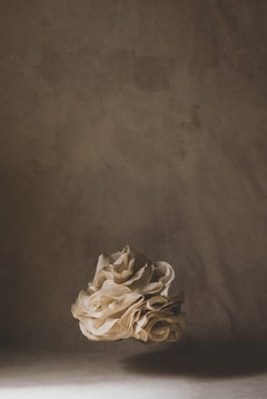 Suspended Organic Form IV — Natural Raffia Textile Sculpture by Eliurpi 2025
