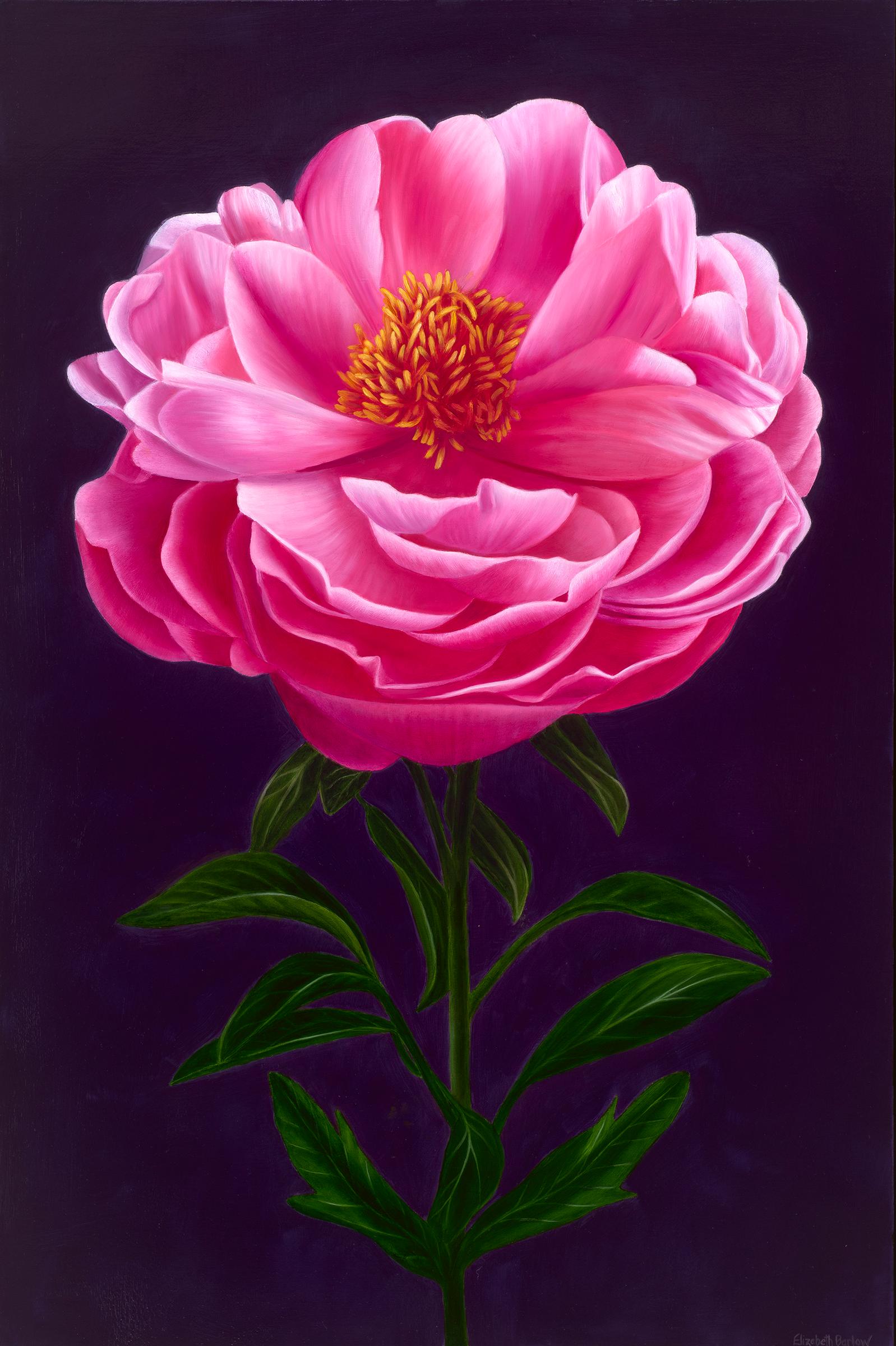 Elizabeth Barlow Still-Life Painting - Abundance