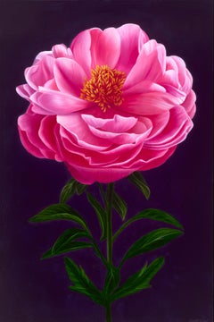 Abundance