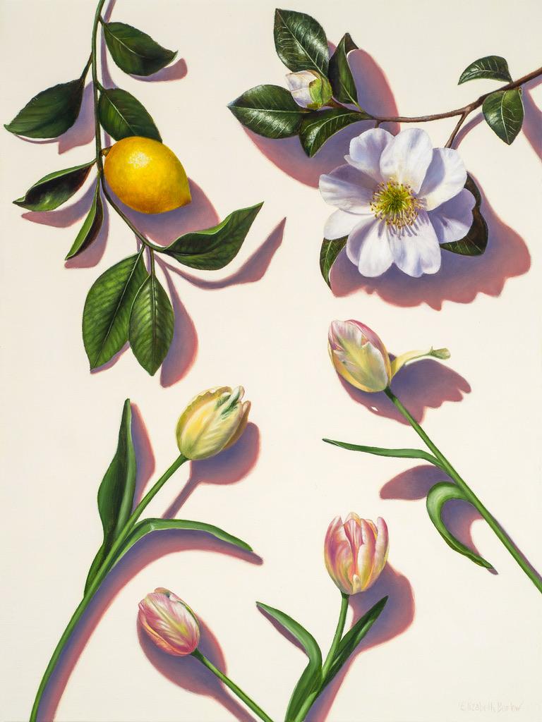 Elizabeth Barlow Still-Life Painting - Beauty Above Me, Beauty Below Me / garden portrait lemon & magnolia