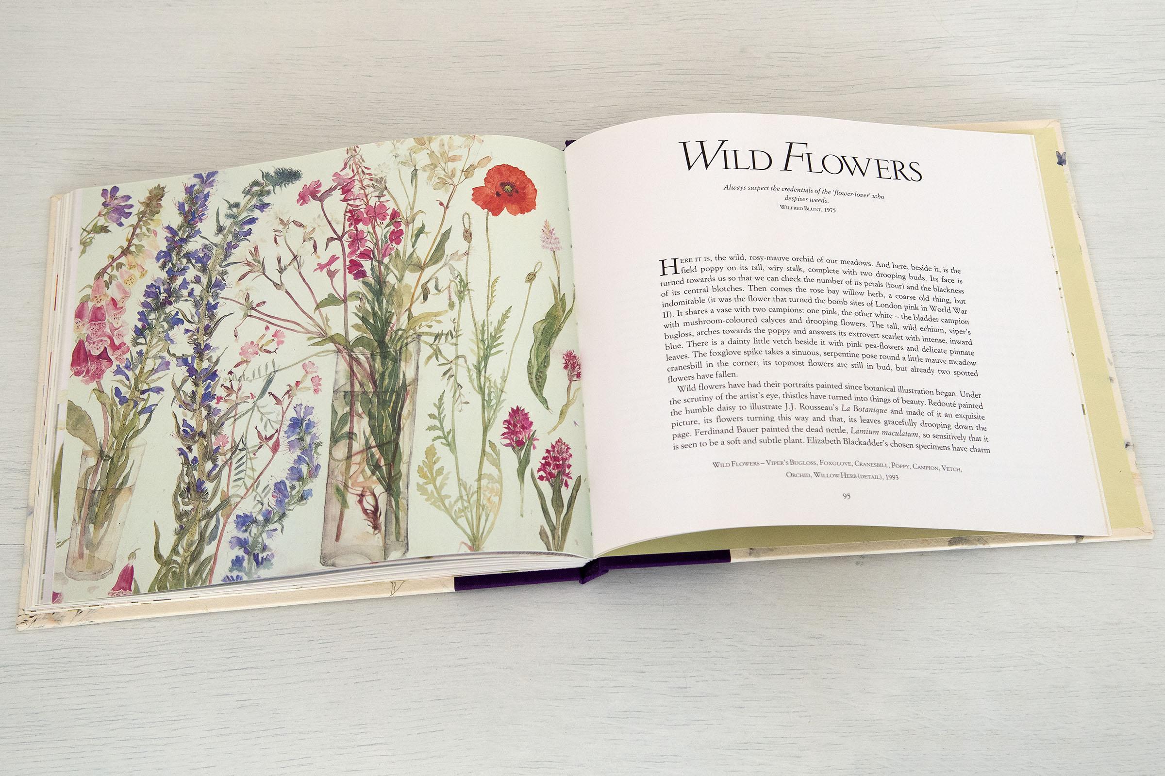 'Favourite Flowers' Limited edition book with signed aquatint 'Iris' - Contemporary Print by Elizabeth Blackadder