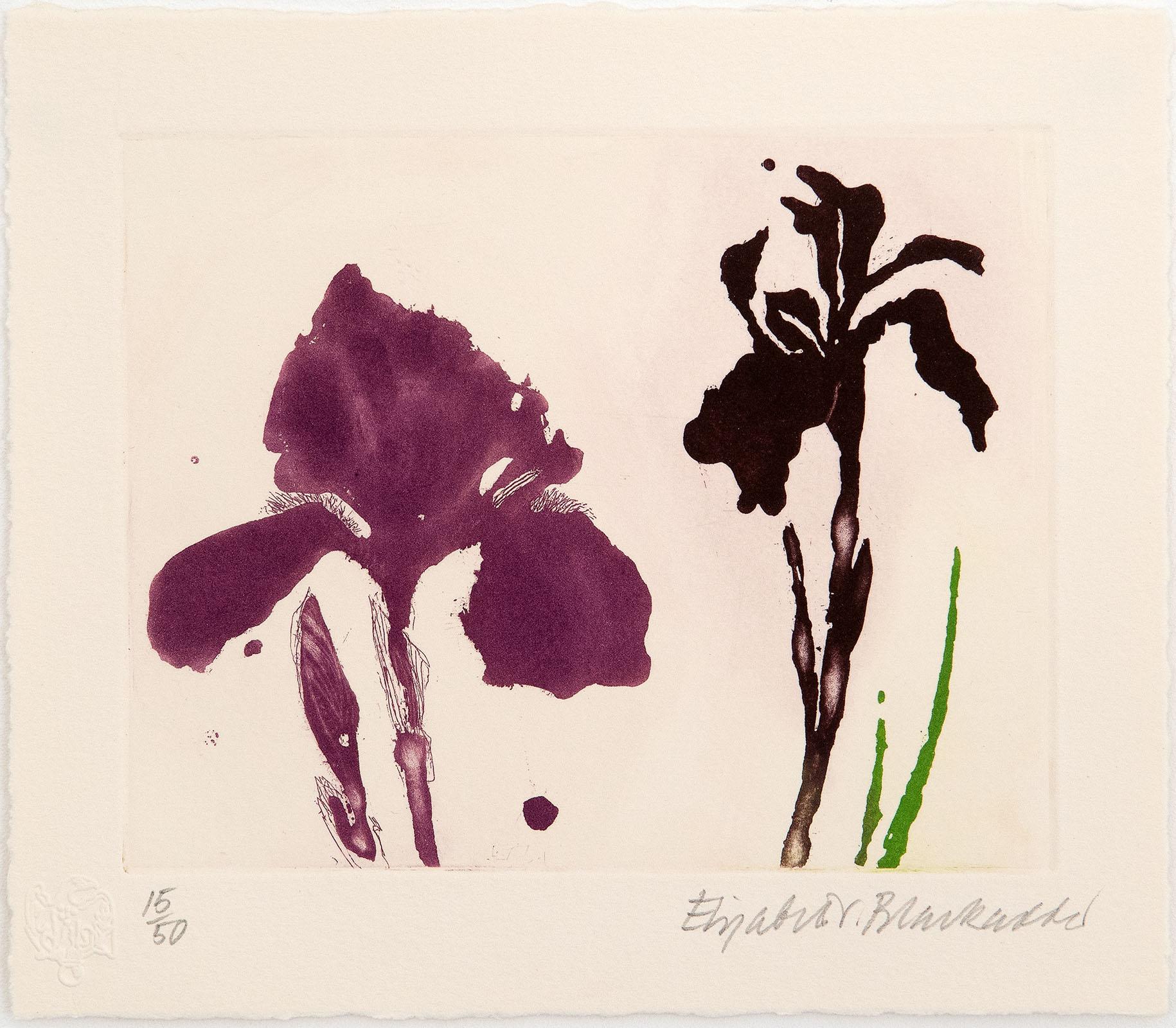 Elizabeth Blackadder Print – „Favourite Flowers“ Limitierte Auflage des Buches „Favourite Flowers“ mit signierter Aquatinta „Iris“