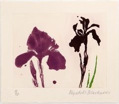 Vintage 'Favourite Flowers' Limited edition book with signed aquatint 'Iris'