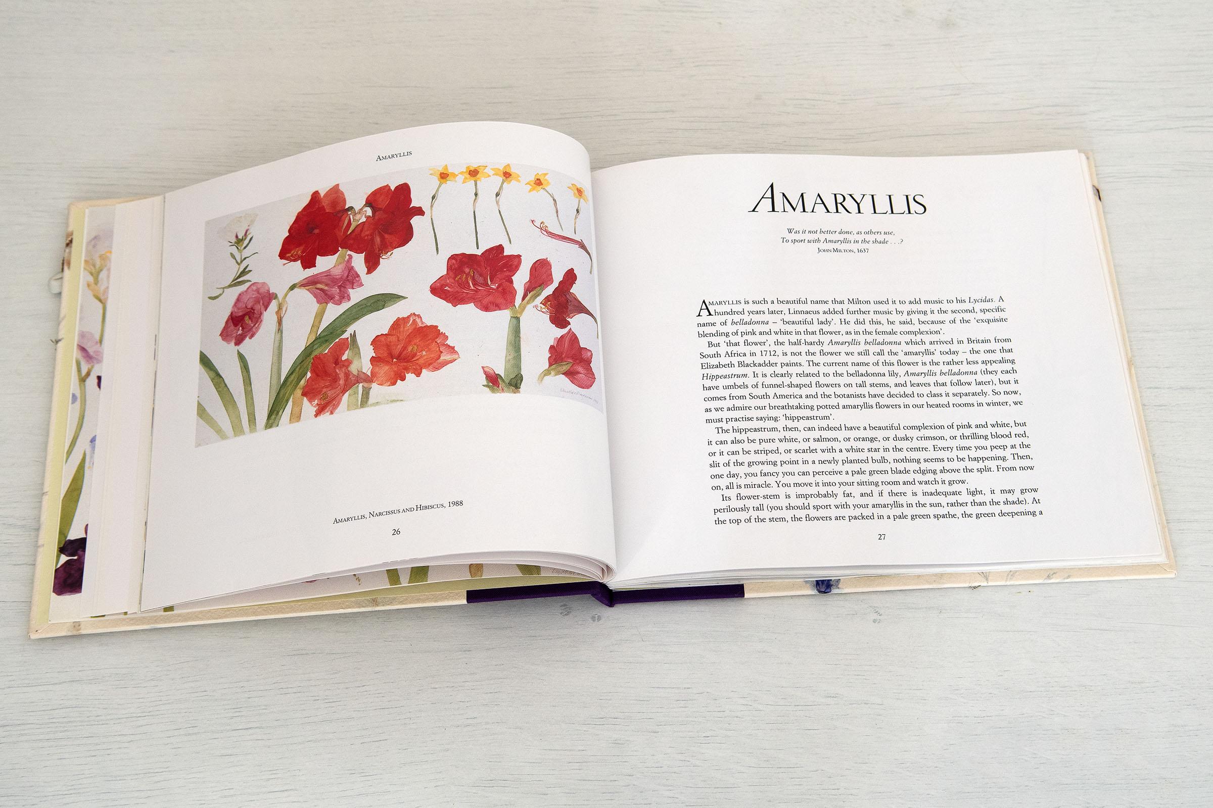 'Favourite Flowers' Limited edition book with signed aquatint 'Salpiglossis' - White Print by Elizabeth Blackadder