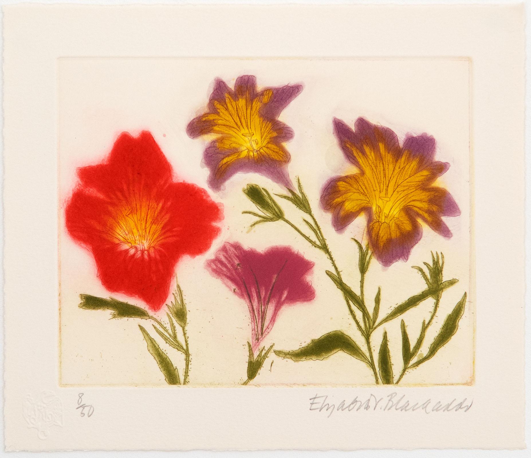 Elizabeth Blackadder Print – „Favourite Flowers“ Limitierte Auflage des Buches mit signierter Aquatinta „Salpiglossis“