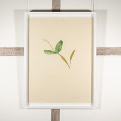 Einzelne Orchidee - Minimalistischer botanischer Druck von Elizabeth Blackadder