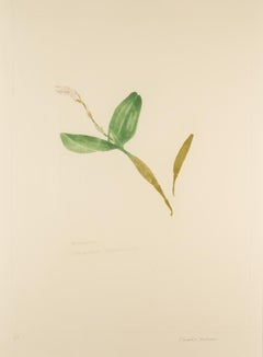 Einzelne Orchidee - Minimalistischer botanischer Druck von Elizabeth Blackadder