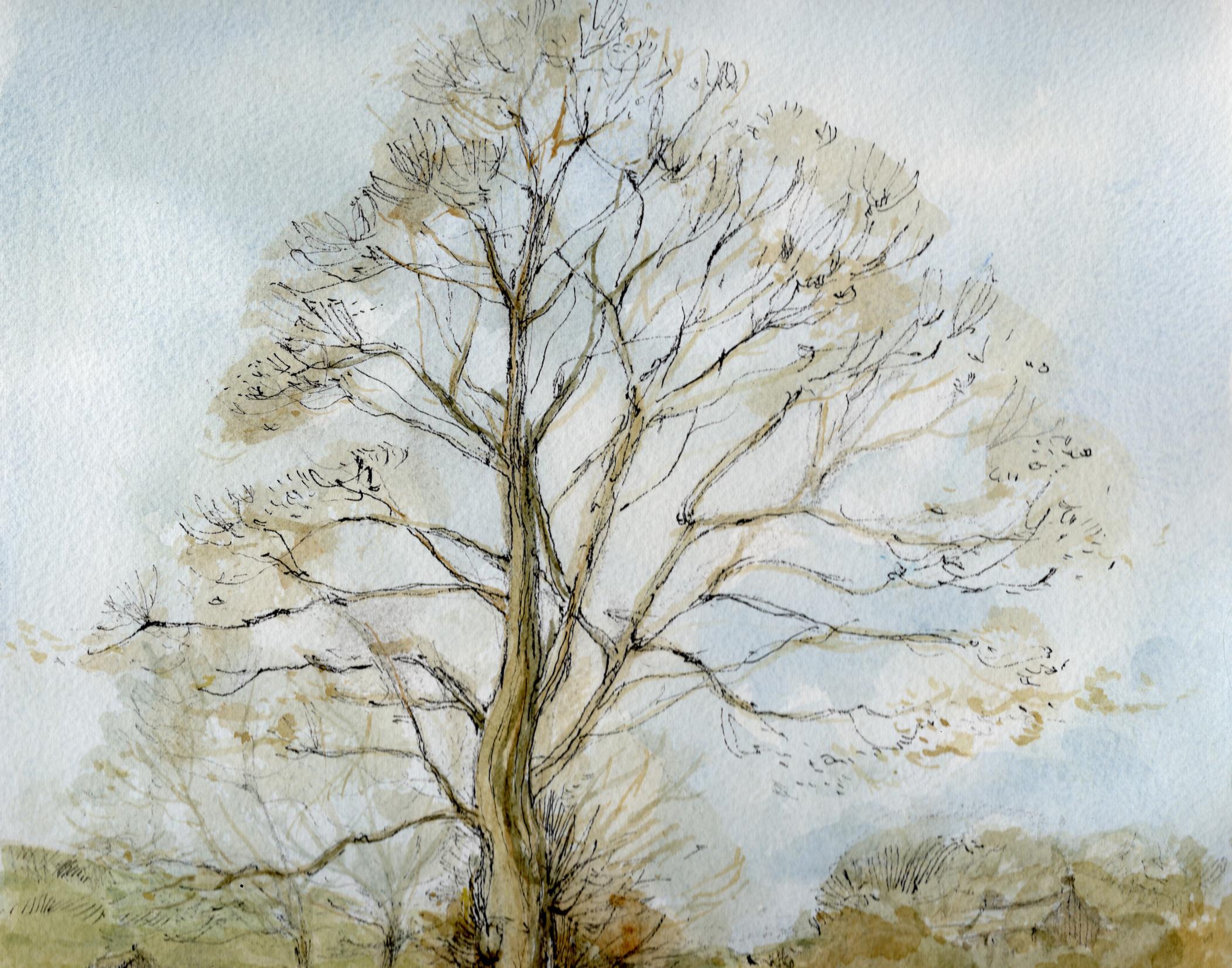 arbre d'hiver au début du printemps, Notgrove Peinture originale, paysage, arbre - Contemporain Art par Elizabeth Chalmers