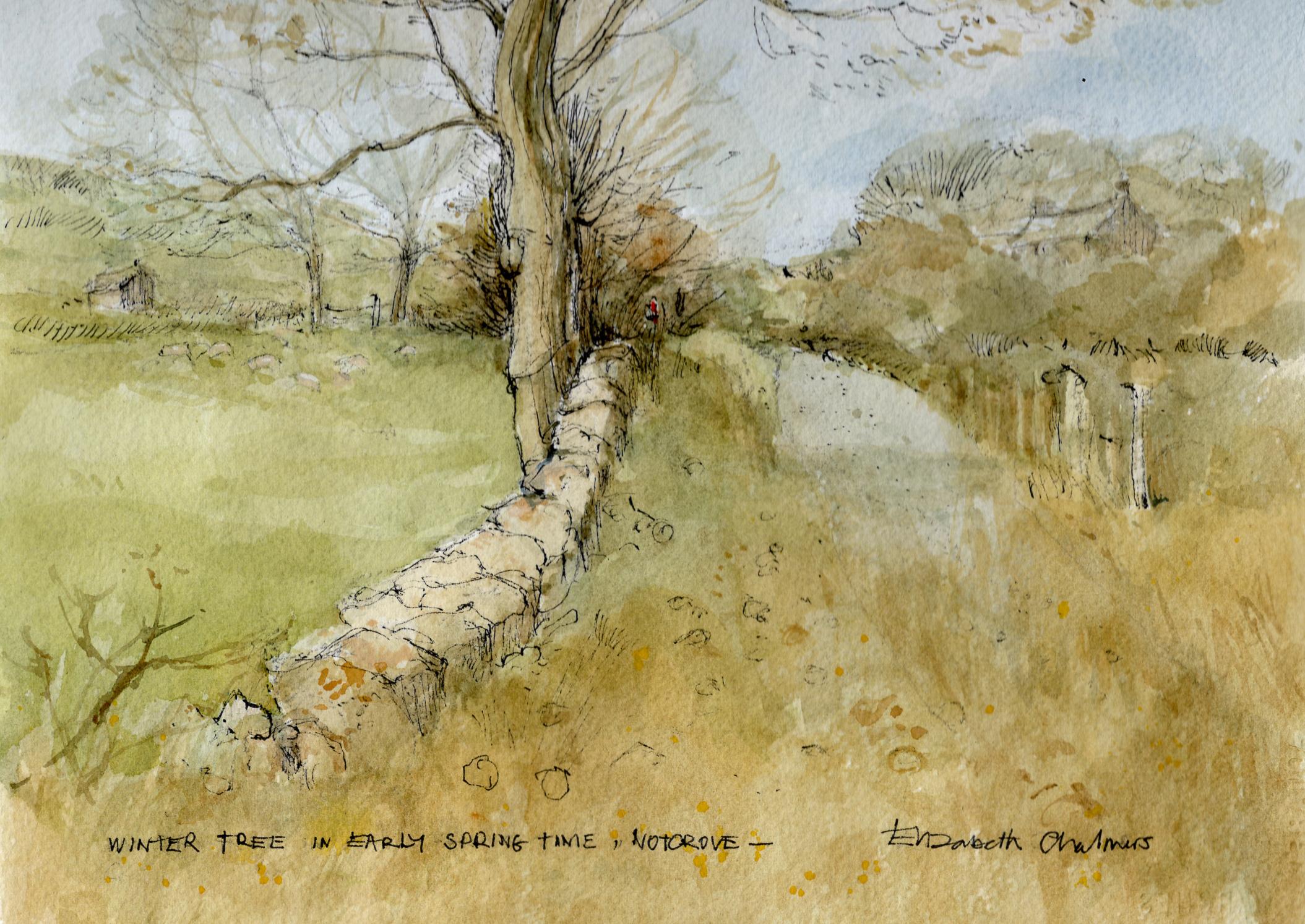 L'artiste aime capturer la forme des arbres pendant les journées d'hiver. La rivière Windrush traverse de nombreux villages des North Cotswolds. Le dessin est réalisé à l'encre noire avec l'ajout d'aquarelle.

INFORMATIONS COMPLÉMENTAIRES :
Encre,