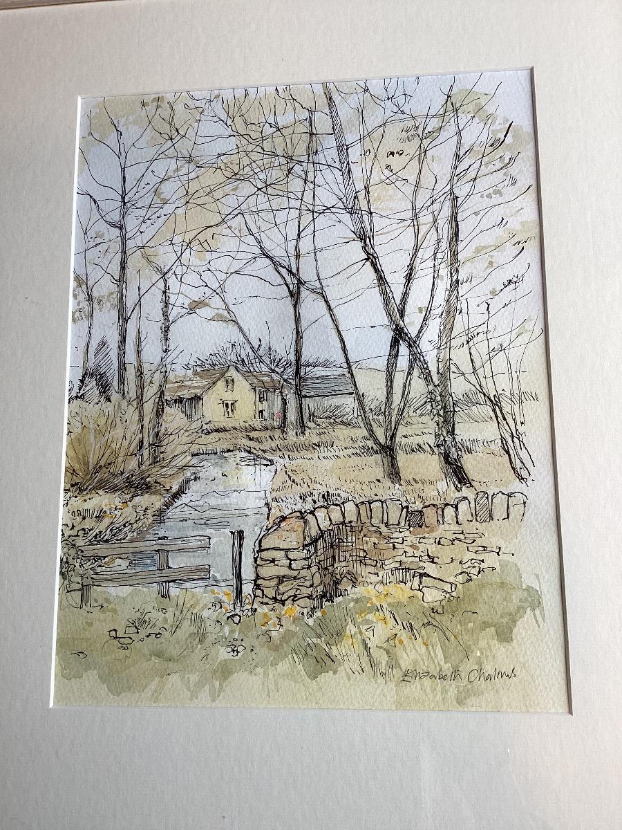 The artist loves to capture the shape of trees during the winter days. The river Windrush flows through many of the North Cotswold villages. the drawing is made in black ink with the addition of watercolour.

ADDITIONAL INFORMATION: 
Ink, Pen on