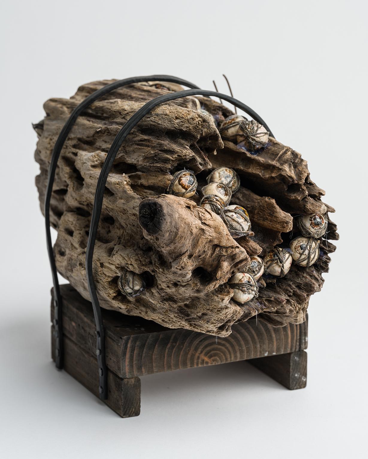 Holzskulptur: „Der böse Augebaum“ (Zeitgenössisch), Mixed Media Art, von Elizabeth Jordan