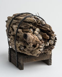 Wood Sculpture: 'The Evil Eye Tree'