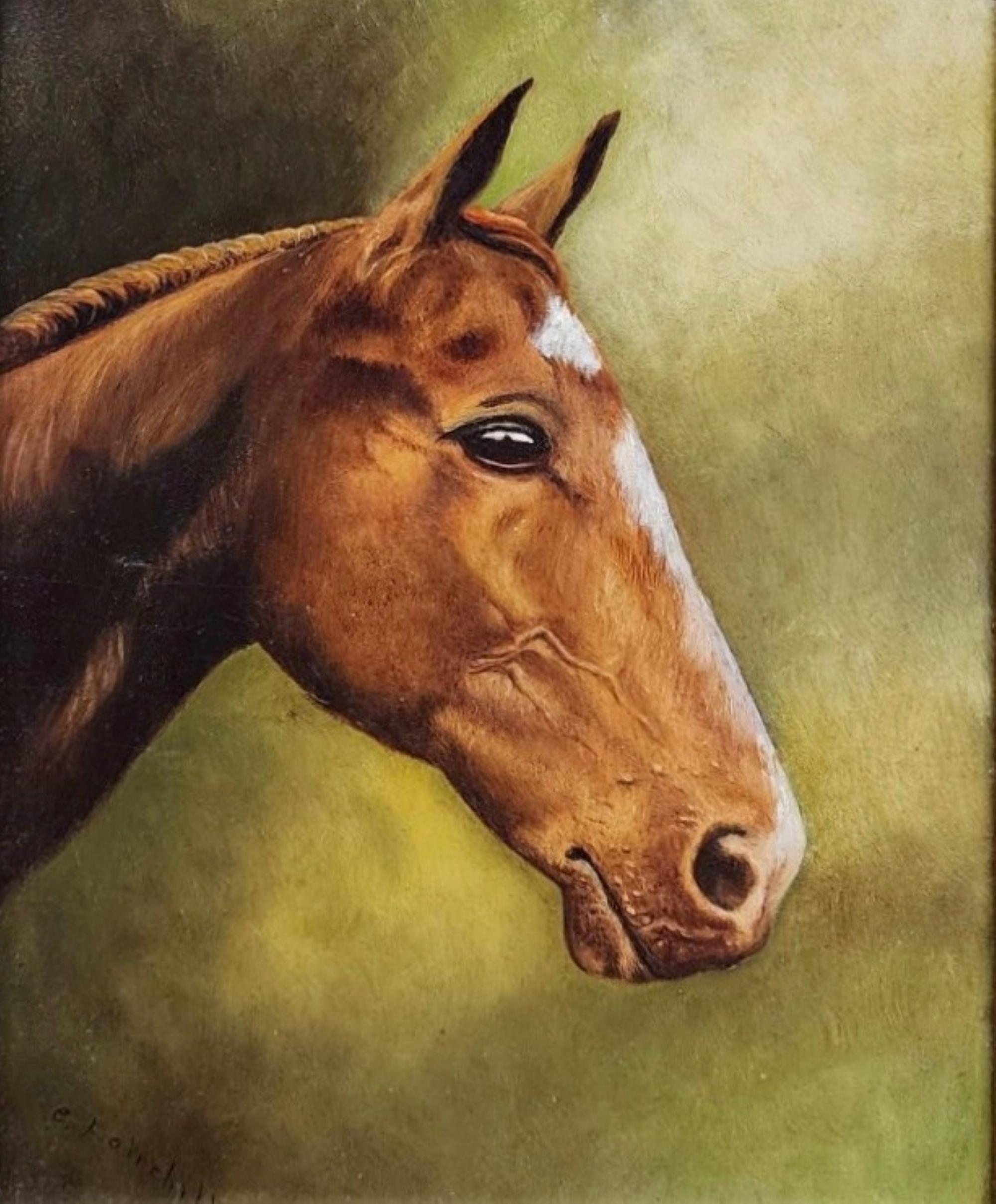 Portrait of Horse, Oil on Board - Painting by Elizabeth Nelson Fairchild