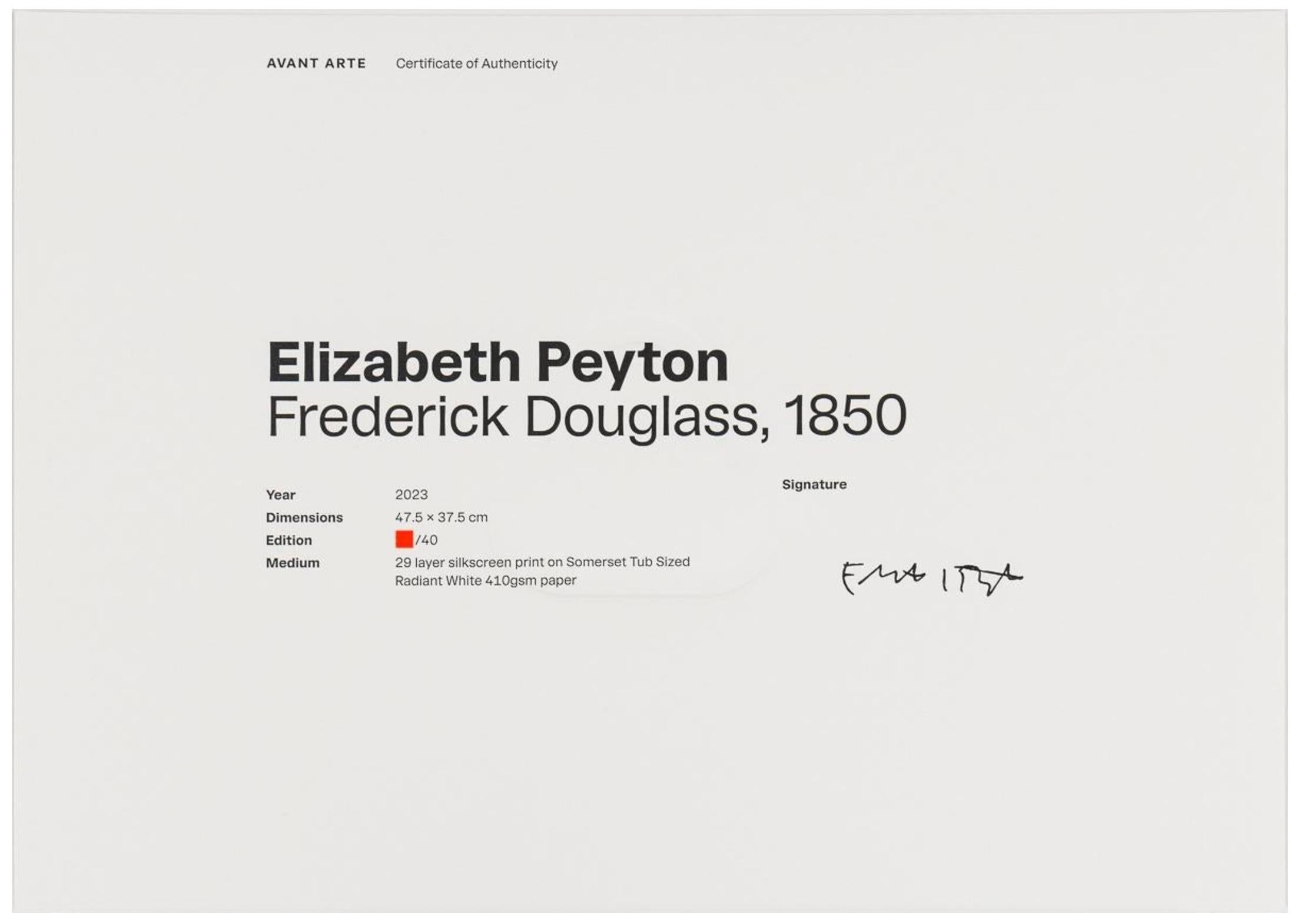 Frederick Douglass, 1850 - Portrait Print Grigio di Elizabeth Peyton
