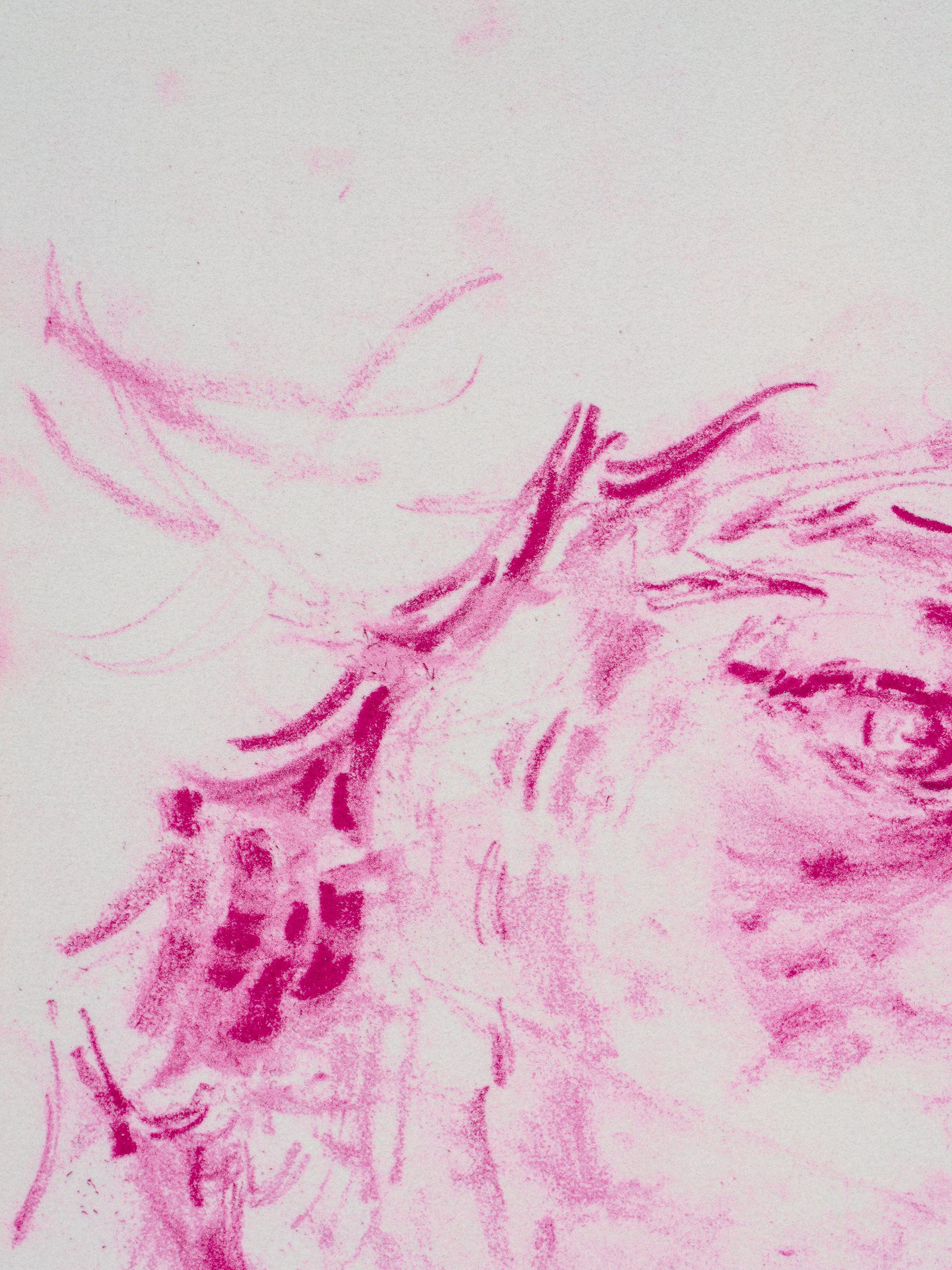 Mai (Afterlife) after Sir Joshua Reynolds' Portrait of Mai (Omai) - Gray Figurative Print by Elizabeth Peyton