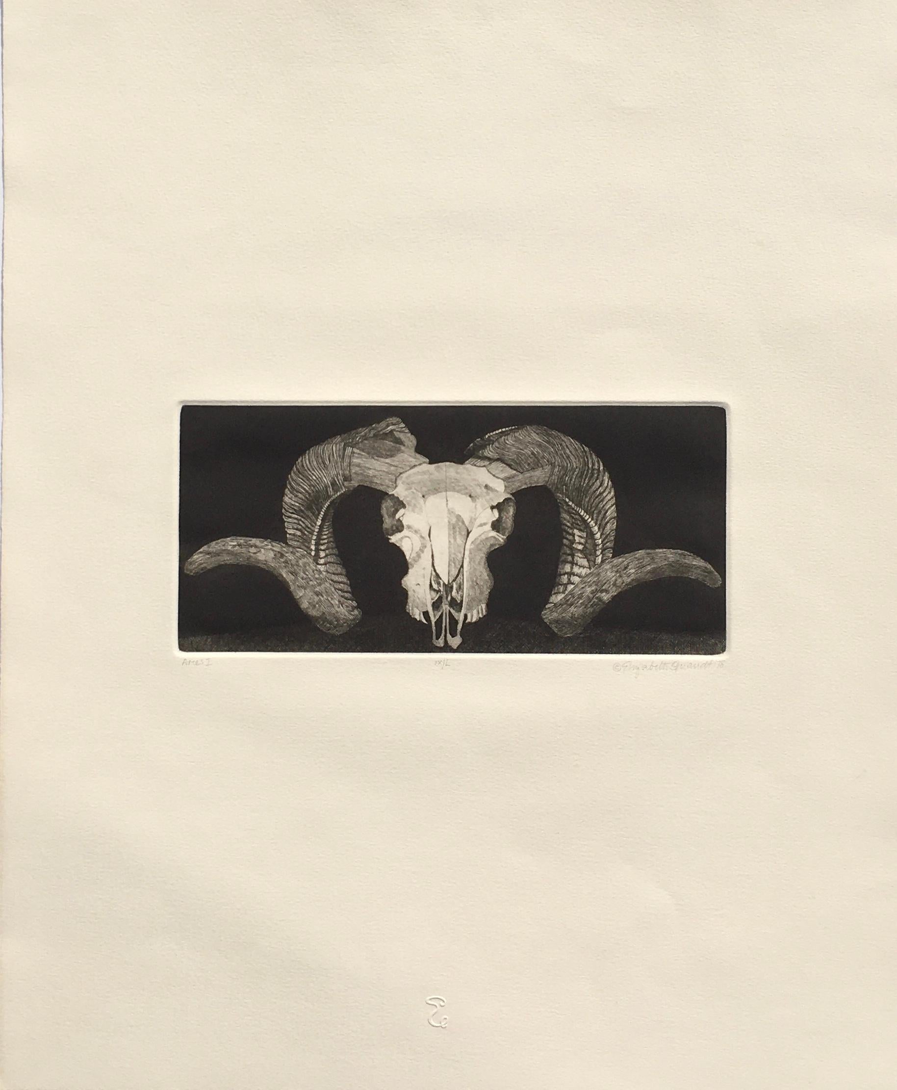 Elizabeth Quandt 'Aries I' Limited Edition, Signed Etching of Ram's Head For Sale 1