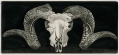 Elizabeth Quandt 'Aries I' Limited Edition, Signed Etching of Ram's Head